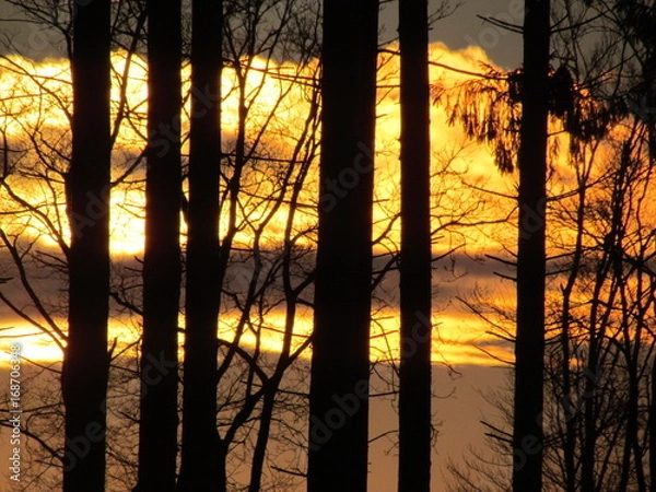 Obraz Couché de soleil en foret