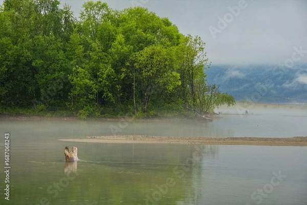 Fototapeta Fog on the shore of Lake Baikal.