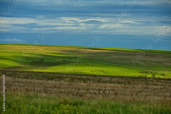 Fototapeta Hills of the West Siberian Plain.