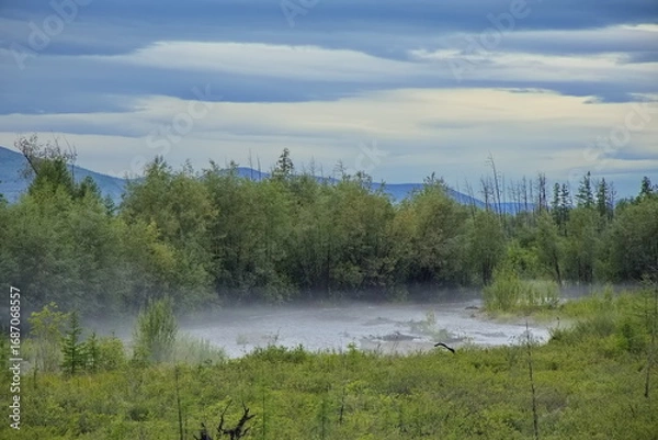 Fototapeta Fog over the river in the Yakut taiga.