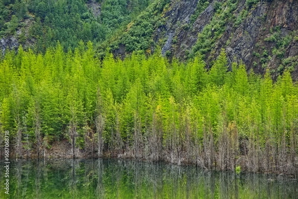 Fototapeta Flooded gold mining site in Yakutia.