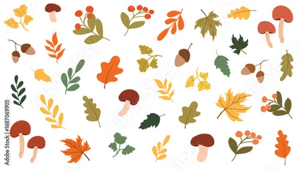 Fototapeta A set of autumn leaves and mushrooms. A simple set of leaves from different trees. An autumn set of cute and cozy hand-drawn design elements. Autumn, Thanksgiving, fall season.