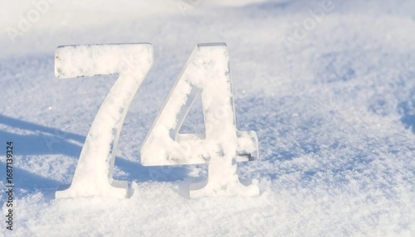 Obraz Numbers 74 in snow