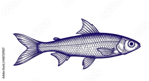 Fototapeta Hand drawn illustration of a roach isolated on a transparent background