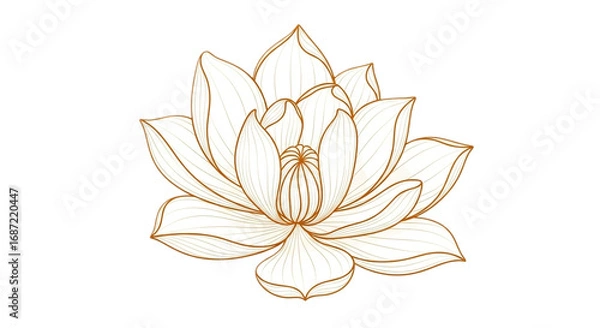 Fototapeta Elegant lotus flower drawing in golden color isolated on transparent background