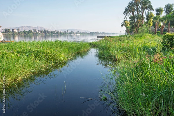 Fototapeta Panoramic landscape view across large river in africa with grass reeds in foreground