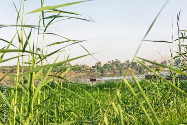 Fototapeta Panoramic landscape view across large river in africa with grass reeds in foreground