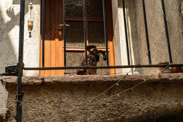 Fototapeta Malcesine - Włochy architektura 