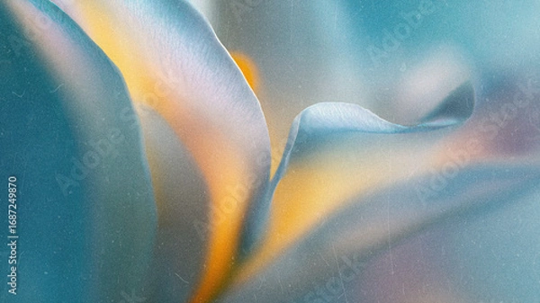 Fototapeta Soft Blurred Y2K Florals Vintage Backgrounds. Colorful flowers in soft focus with gentle hues creating a tranquil and dreamy atmosphere