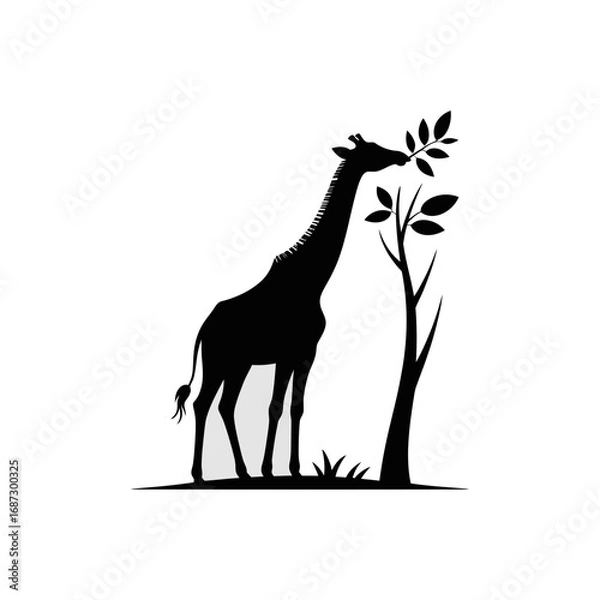 Obraz Giraffe Silhouette Vector