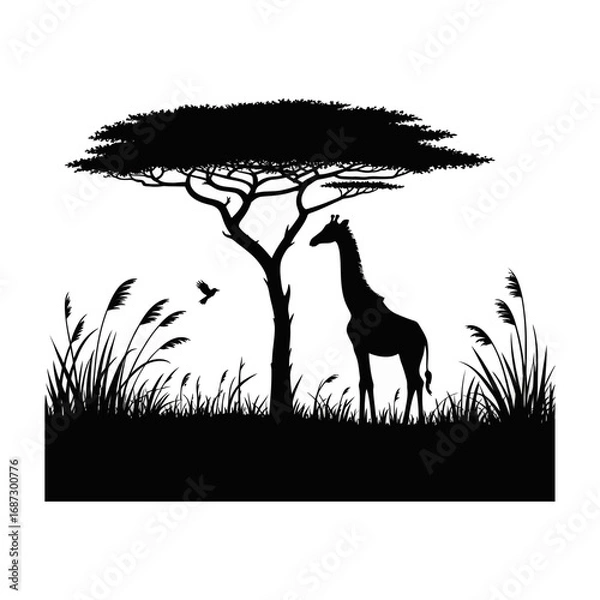 Obraz giraffe silhouette vector