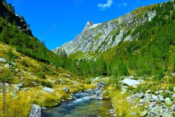Obraz Stream flowing next to alpine meadows with a larch forest and a mountain peak above in Dorfertall valley in High Tauern mountains, Tyrol, Austria
