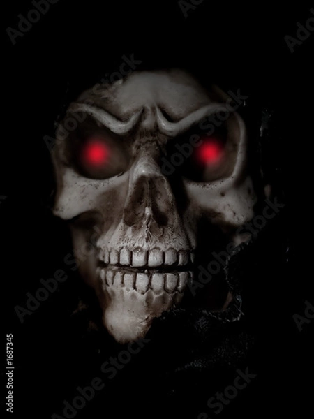 Fototapeta scull