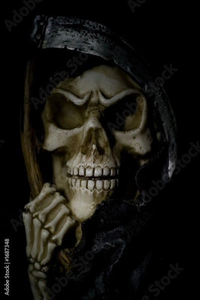 Fototapeta scull