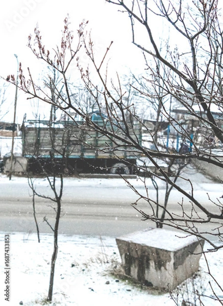 Obraz tree in the snow