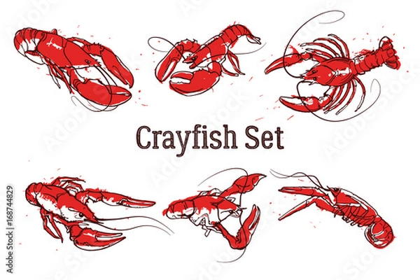 Obraz Ręcznie rysowane krewetki lub homary. Tekst CRAYFISH SET. Szkic wektor zestaw dobry do dekoracji menu pubu