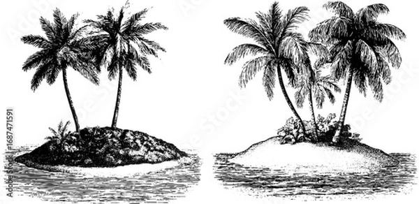 Fototapeta Vintage island illustration set featuring palm trees and engraved tropical scenes for design use