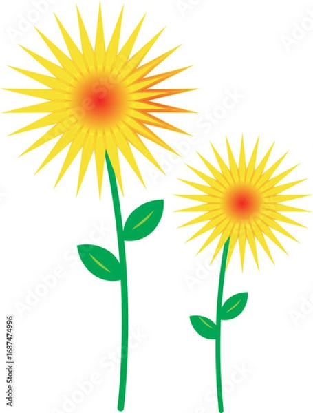 Fototapeta sunflower vector illustration