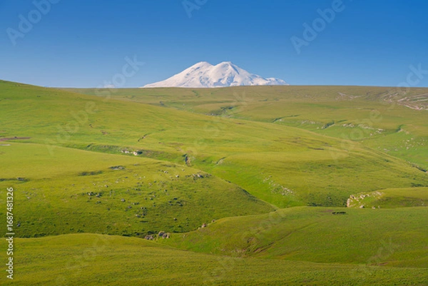 Fototapeta A panoramic view of the snow-capped peaks of Mount Elbrus with the green field of the Bolshoy Bermamyt plateau in the foreground, Stavropol Krai, Russia