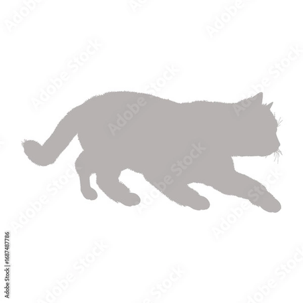 Fototapeta Silhouette of a fluffy cat in motion on a black background