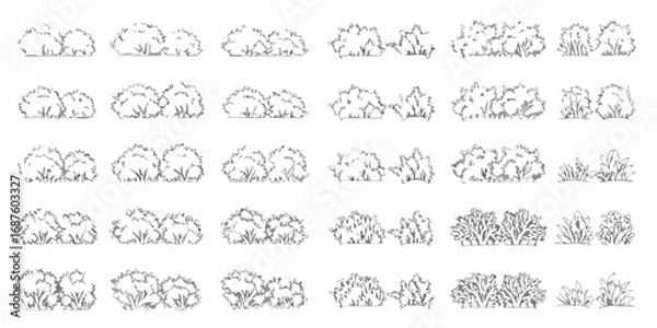 Fototapeta Collection of hand drawn sketch style bushes and shrubs for landscaping and garden design