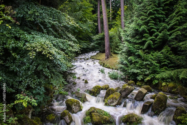 Fototapeta Wildes Wasser