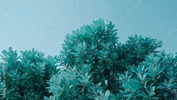 Obraz Teal Treetop, Abstract Foliage Against a Light Sky Tranquil Nature Scene.