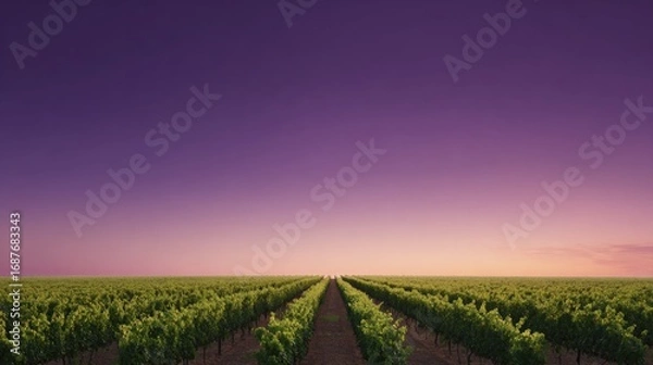 Obraz Lush vineyard rows stretch towards stunning twilight sky with vi