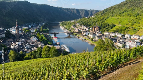 Obraz Wine region of the Mosel Valley. Wine tourism Cochem, Rhineland-Palatinate, Germany August 2, 2025