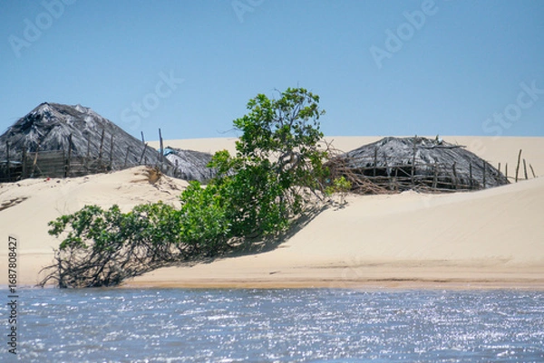 Obraz mountain landscape with trees