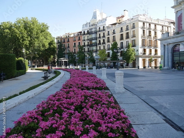 Obraz Chemin de fleur