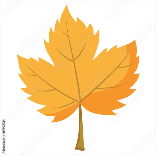 Fototapeta  maple leaf