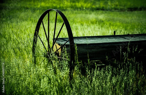 Fototapeta wagon in field