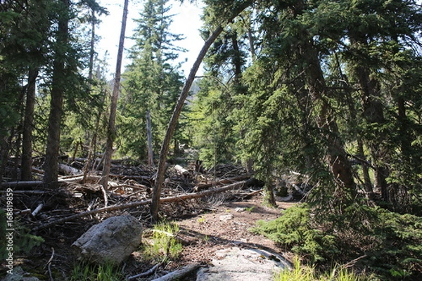 Fototapeta Custer State Park