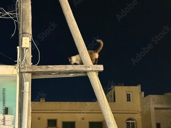 Obraz building under construction