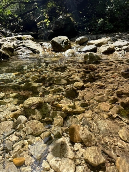 Obraz river in the forest