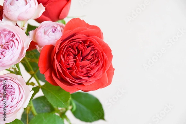 Fototapeta 赤と紫のばら