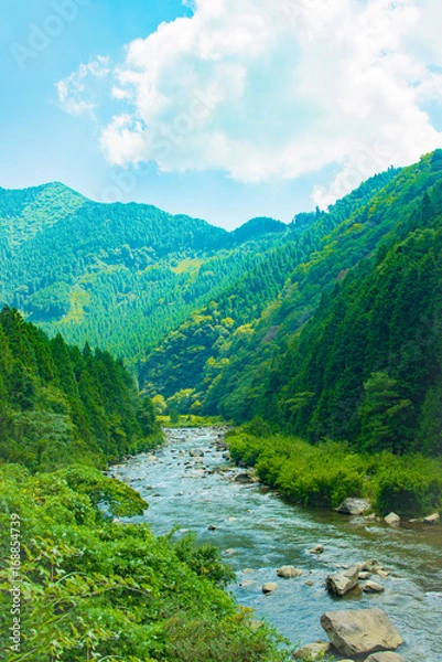 Obraz 西日本の渓谷・深山の風景