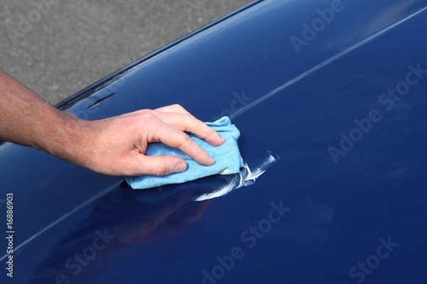 Fototapeta Autopflege