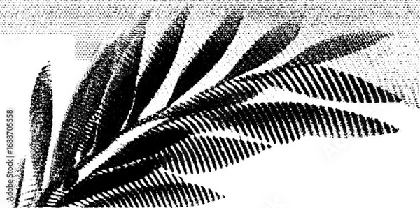 Fototapeta Black and white line art drawing of palm leaves in abstract style for elegant decor