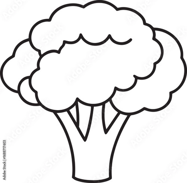 Fototapeta Broccoli outline vector illustration, line art