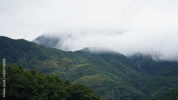 Fototapeta The beautiful mountains view with the covered fog on them