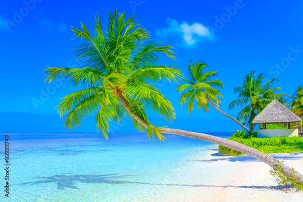 Obraz Dreamscape Escape On Maldives