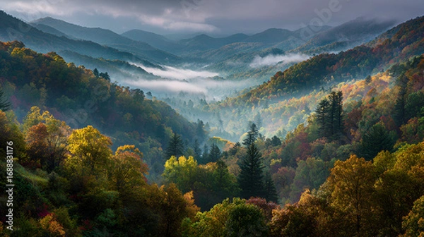 Fototapeta A scenic view of a mountain range covered in trees with fog in the valleys and cloudy sky above