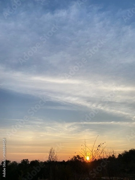 Obraz sunset in the forest