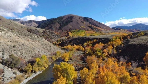 Fototapeta Aerial view of a river valley in autumn, with vibrant yellow and orange foliage lining the riverbanks and brown mountains in the background under a partly cloudy sky