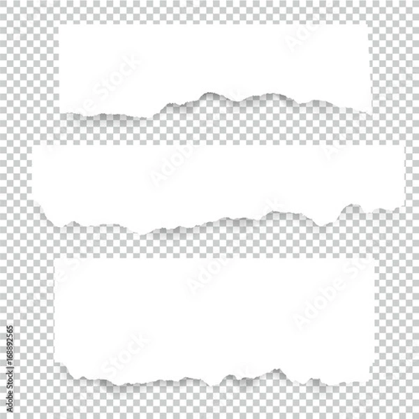 Obraz Set of blank Torn paper sheets. Vector note pieces collection with sticky tape.