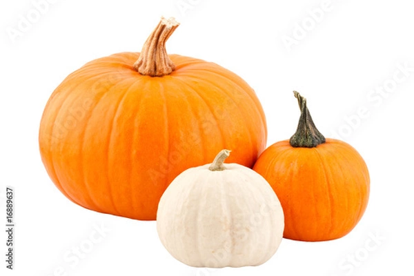 Obraz pumpkins