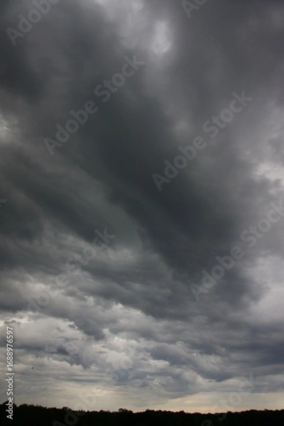 Obraz Clouds over the forest in summer