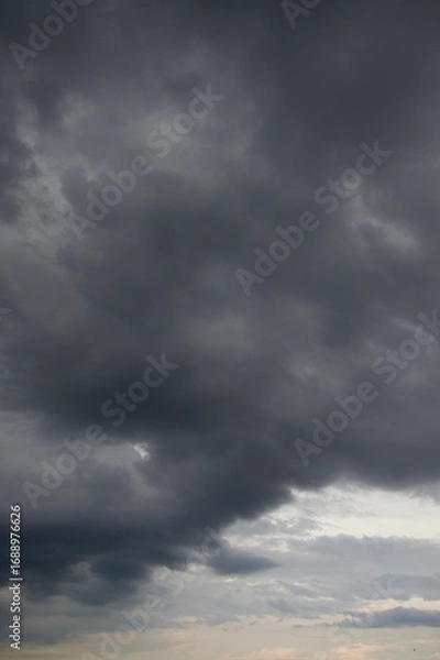 Obraz Clouds over the forest in summer